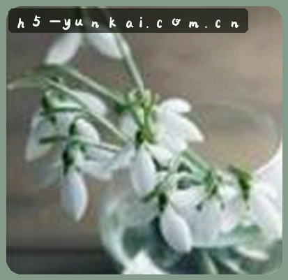 赵龙